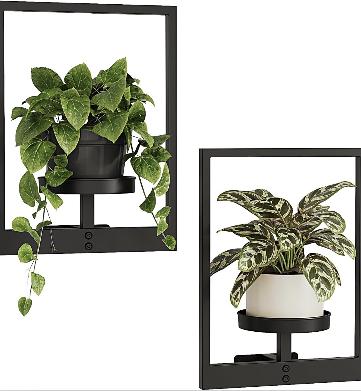 Plant Stand Indoor Wall Decor Metal Plant Hanger Indoor Hanging Plant Holder Wall-Mounted Planters Outdoor Plant Rack Black 2 Pack